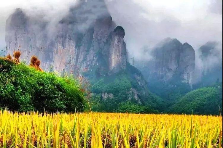 乌克兰东部局势发生重大变化,在当地的中资企业需要做好哪些安全防范意识?天涯问答,专业交流平台!